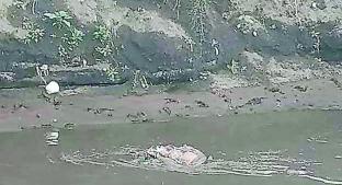 Asesinos abandonan cadáver maniatado en un río, en Chalco. Noticias en tiempo real