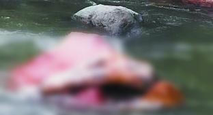 Hallan cuerpo sin vida que flotaba en un río, en Coatepec Harinas. Noticias en tiempo real