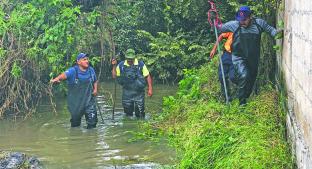 Reportan aparición de cocodrilo en aguas de Jiutepec. Noticias en tiempo real
