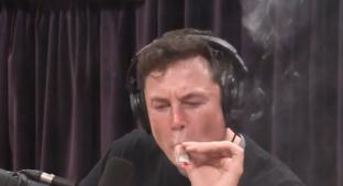 Elon Musk escandaliza al público por fumar marihuana durante entrevista. Noticias en tiempo real
