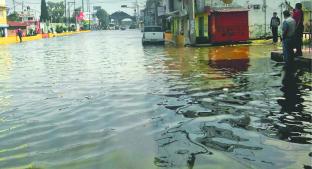 Tras fuerte lluvia, San Mateo Atenco se inunda otra vez. Noticias en tiempo real