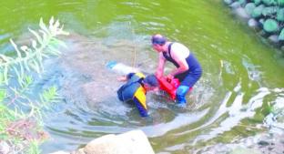 Mujer con problemas de esquizofrenia muere ahogada en Tolimán. Noticias en tiempo real