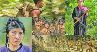 Conoce a la tribu más amenazada en Brasil, los Awá. Noticias en tiempo real