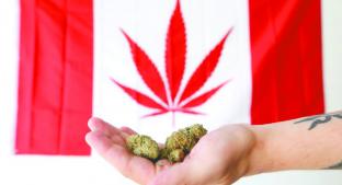 Canadá, a unos días de legalizar la marihuana . Noticias en tiempo real