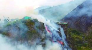 Incendio provocado arrasa con zoológico en Ecuador. Noticias en tiempo real