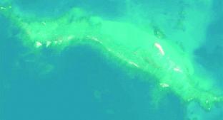 Huracán Wakala borra isla del mapa en Hawái. Noticias en tiempo real