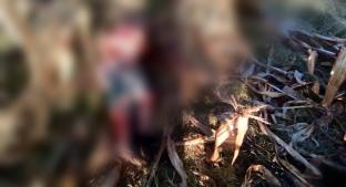Jauría devora cadáver de anciano en milpas de Santa Cruz Atizapán. Noticias en tiempo real