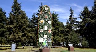 Artesanos moldean “Árbol de la vida” más grande del mundo, en Metepec. Noticias en tiempo real