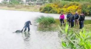 Encuentran a ladrón flotando en la Laguna de Xico, en Valle de Chalco. Noticias en tiempo real