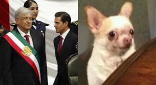 Maratón de memes se desata con la llegada de AMLO a la Presidencia de México. Noticias en tiempo real