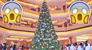 Hotel se luce y adorna árbol de Navidad con diamantes, en Italia. Noticias en tiempo real