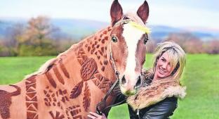 Mujer plasma arte en piel de caballos, en Inglaterra . Noticias en tiempo real