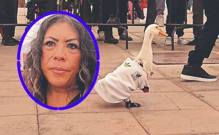 Pato Merlín será registrado ante el IMPI tras convertirse en Embajador del Mundial 2026