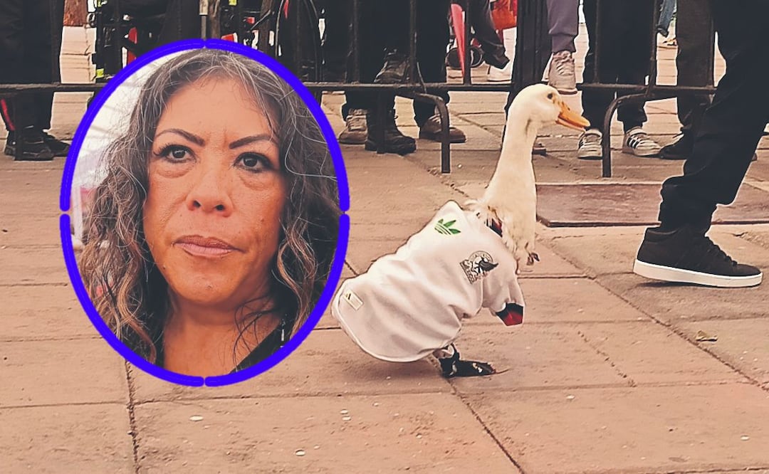 Pato Merlín será registrado ante el IMPI tras convertirse en Embajador del Mundial 2026 (Foto: Gisela González)