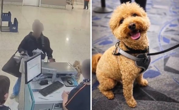 Mujer abandona a su perrito en aeropuerto y es detenida por la policía: Así fue el momento 