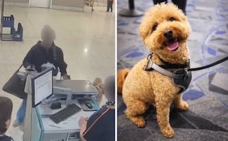 Mujer abandona a su perrito en aeropuerto y es detenida por la policía: Así fue el momento