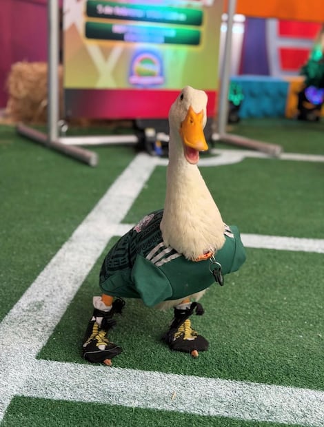 Pato Merlín en Hoy (Vía: Instagram)