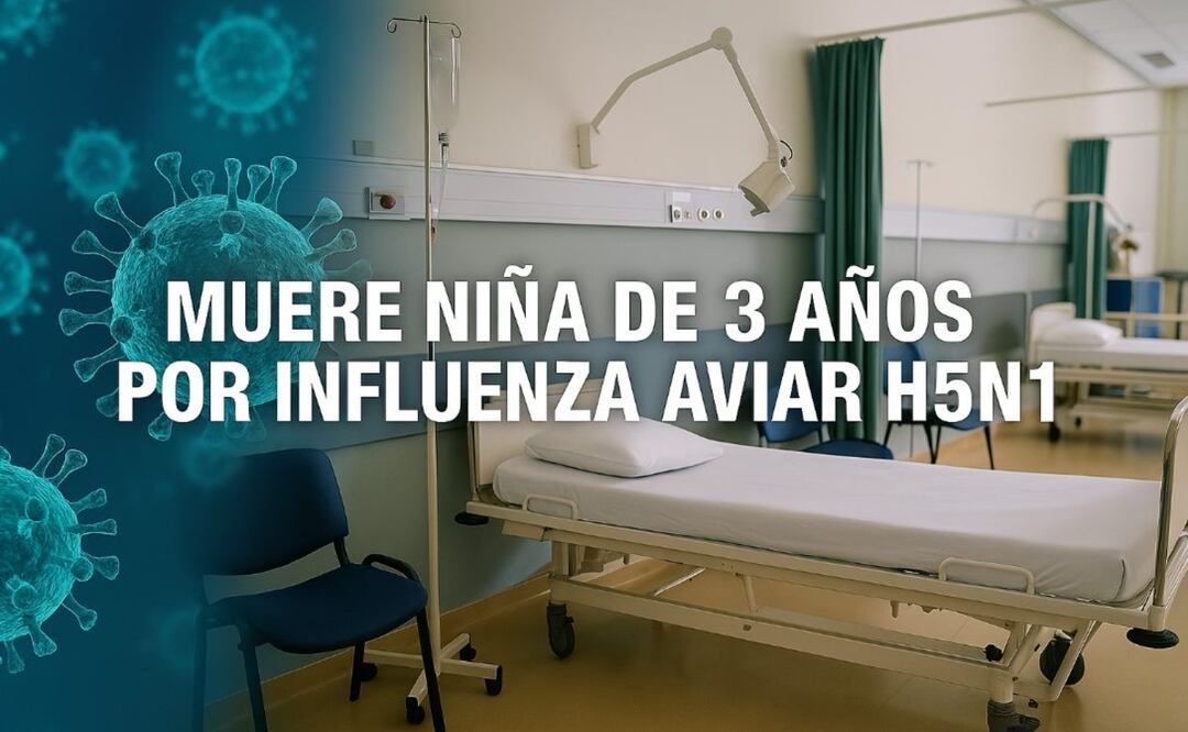 Muere niña de 3 años de Influenza aviar H5N1. Foto: (IA)