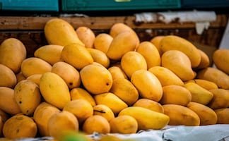 7 datos curiosos del mango que no sabías: Origen, beneficios y variedades