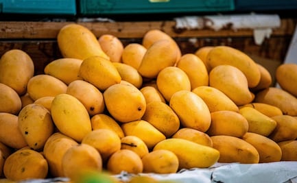 7 datos curiosos del mango que no sabías: Origen, beneficios y variedades