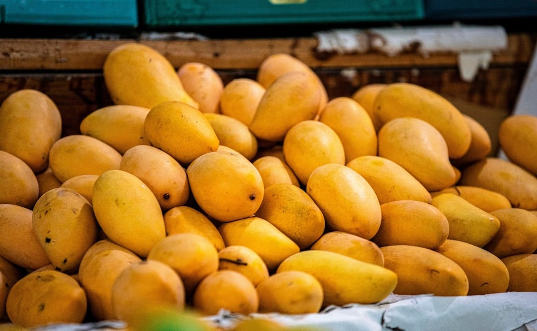 7 datos curiosos del mango que no sabías: Origen, beneficios y variedades
Imagen: Pixabay