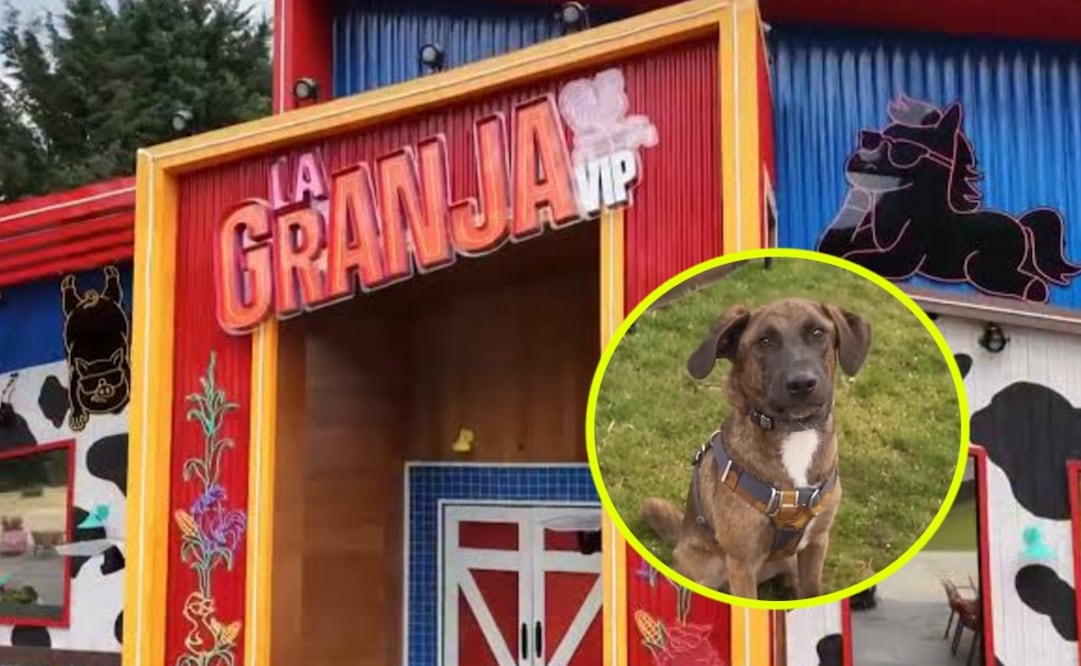 La Granja VIP Tlacoyo (Vía: Redes)