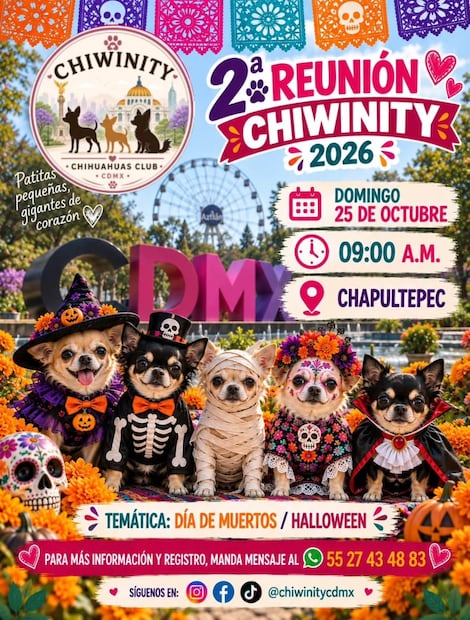 Chihuahuas se apoderarán de Chapultepec con una caminata de Halloween y Día de Muertos
Foto: Redes Sociales