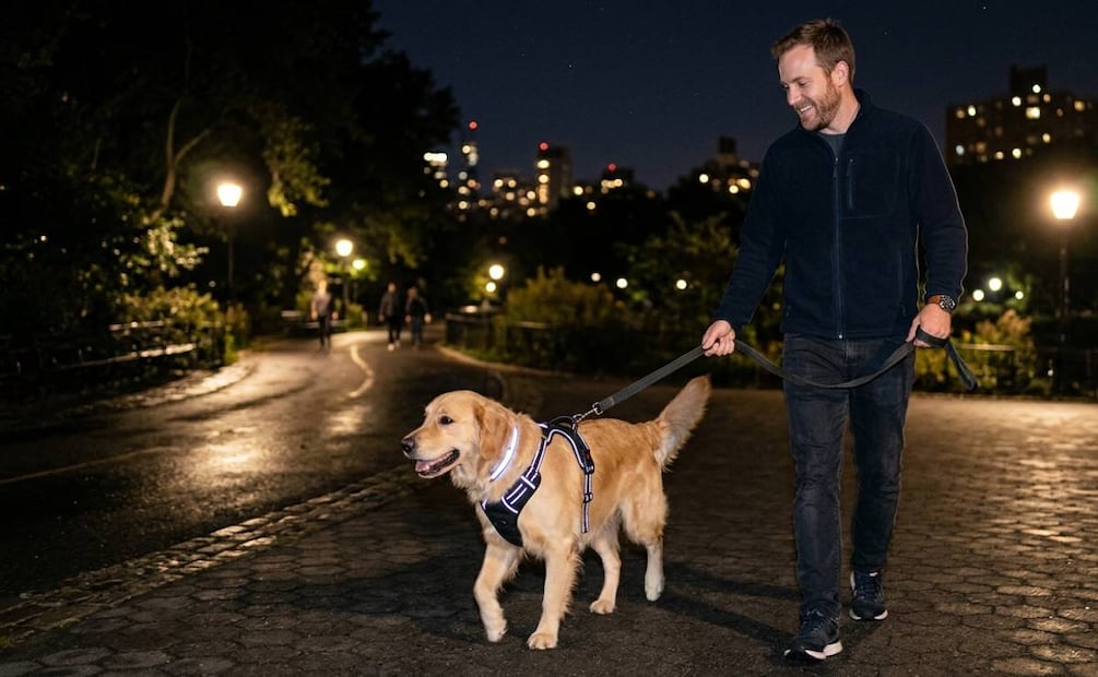 Imagen ilustrativa: IA (Perro con arnés reflejante )