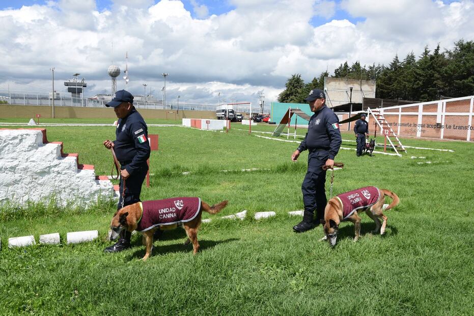 Perros policías del Edomex se jubilan. Foto: (Especial)
