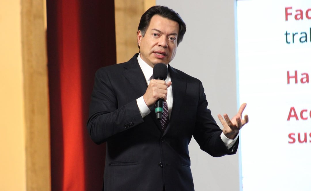 Mario Delgado, titular de la Secretaría de Educación Pública (SEP). Foto: (Maritza Villagómez. El Gráfico)