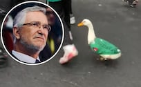 El SAT ya investiga al Pato Merlín y las cuentas de su familia, Salinas Pliego lo invitó al estadio
