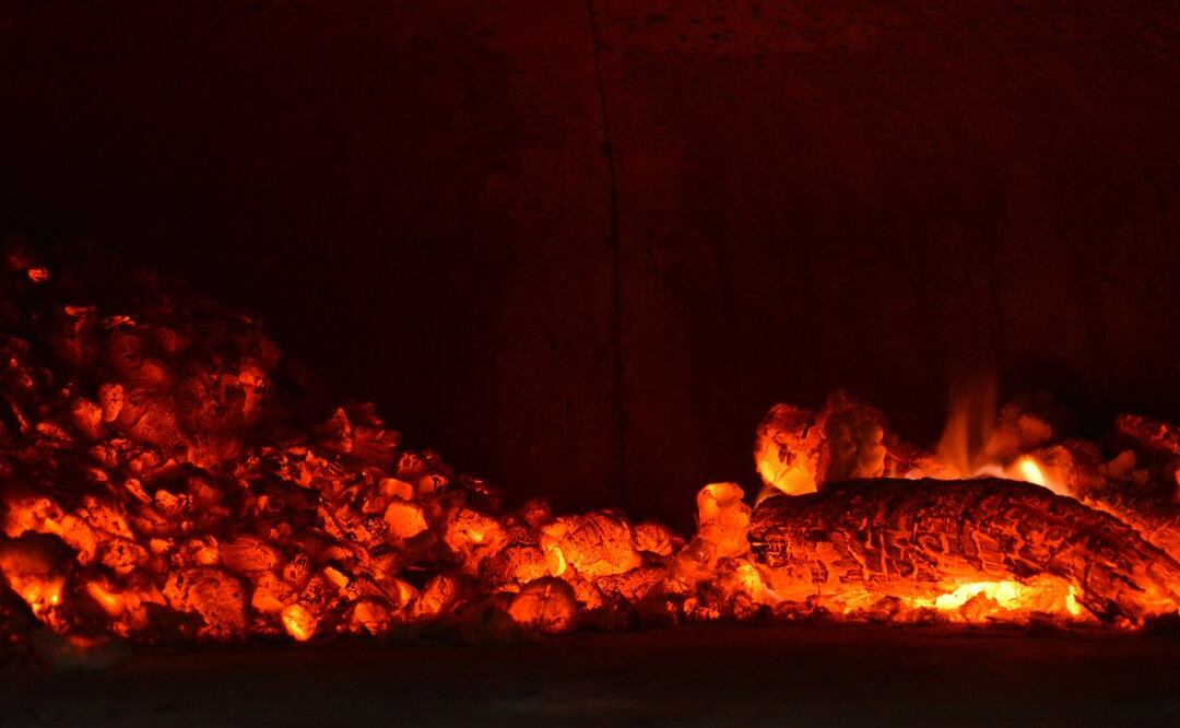 Incendios en Brasil deja calcinados a monos y serpientes que habitan pantanales