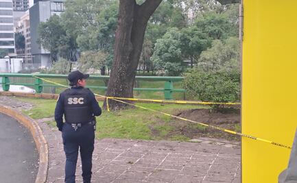 Motociclista muere en Polanco ¿cómo ocurrió el fatal accidente?