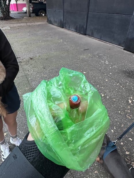 ¡Indignación en la Condesa! Envenenan a perros y dejan comida mortal en el Parque España
Foto: (X)
