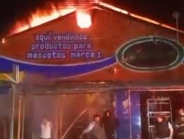 Incendio en el mercado de mascotas en la Morelos deja animales muertos y heridos