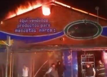 Incendio en el mercado de mascotas en la Morelos deja animales muertos y heridos