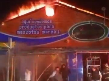 Incendio en el mercado de mascotas en la Morelos deja animales muertos y heridos