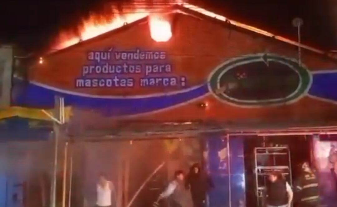 Incendio en el mercado de mascotas en la Morelos deja animales muertos y heridos. Foto: (Especial)