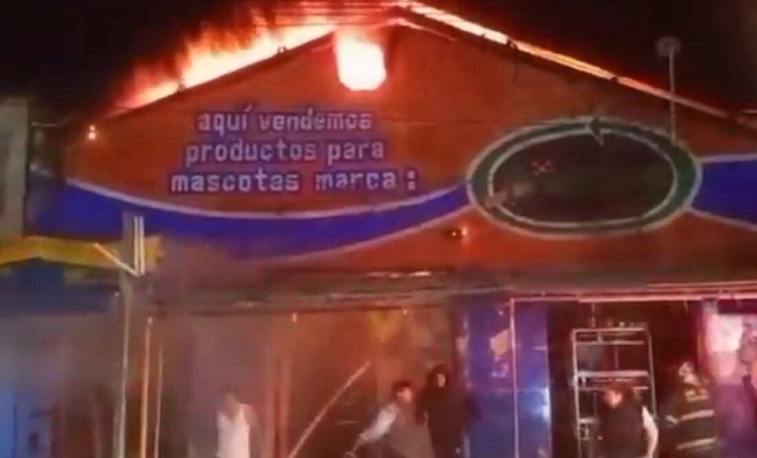 Incendio en el mercado de mascotas en la Morelos deja animales muertos y heridos. Foto: (Especial)