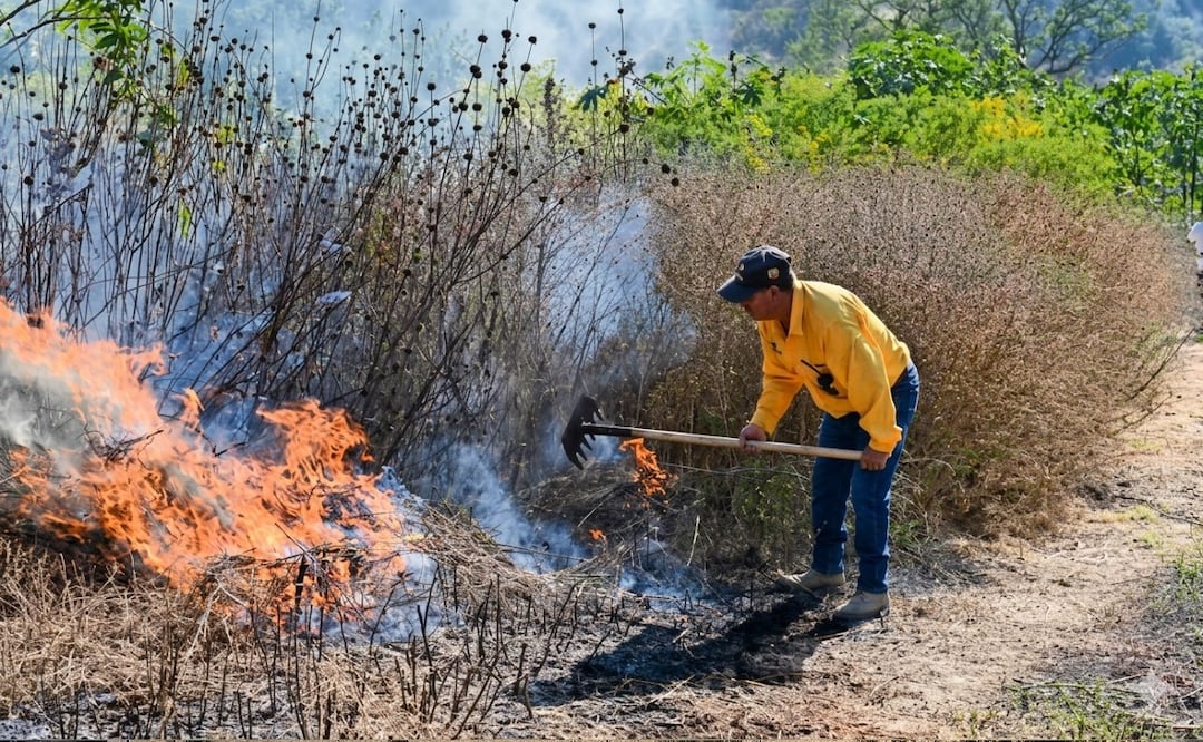 Ixtapaluca encabeza lista de incendios forestales en Edomex
Imagen: Especial