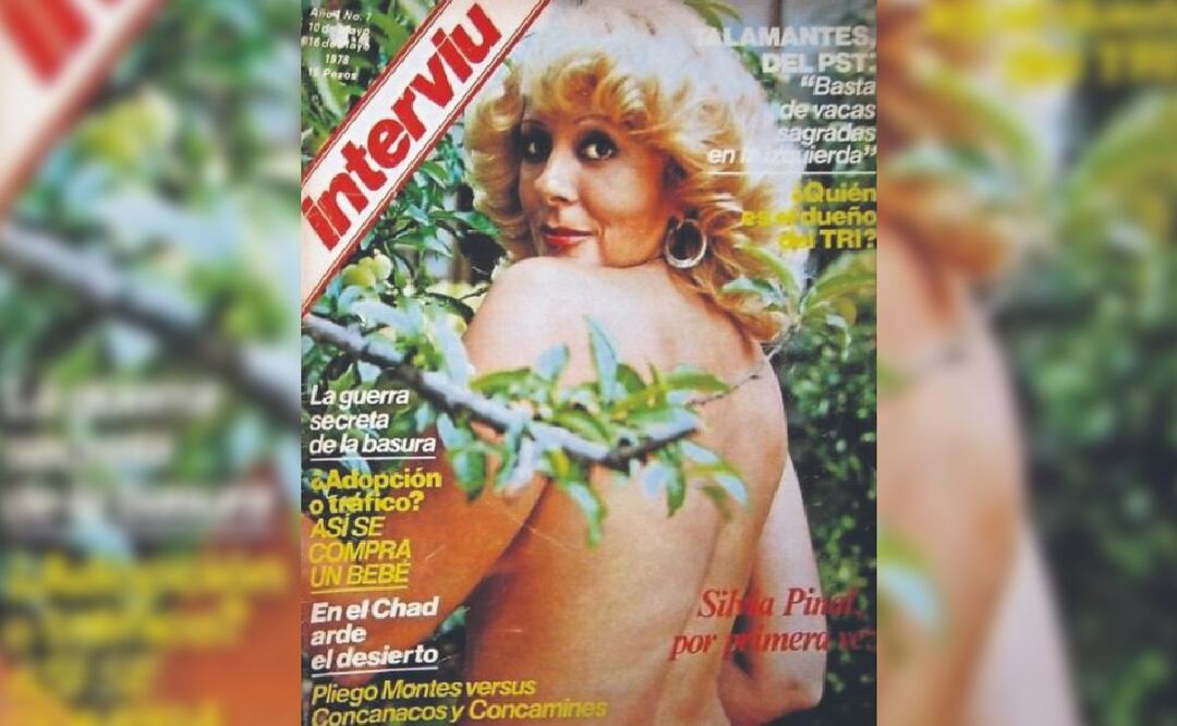 Silvia Pinal: La vez que posó sin ropa tras divorciarse de Enrique Guzmán