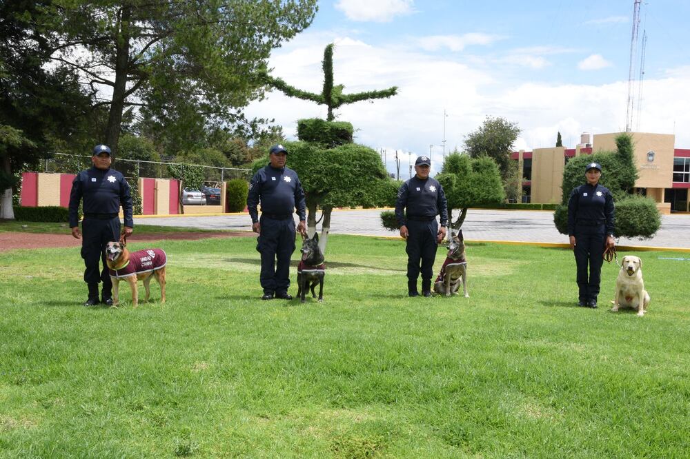 Perros policías del Edomex se jubilan. Foto: (Especial)