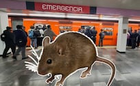 VIDEO: Rata en el Metro CDMX desata pánico en el vagón exclusivo para mujeres