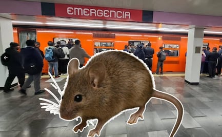 VIDEO: Rata en el Metro CDMX desatan pánico en el vagón exclusivo para mujeres