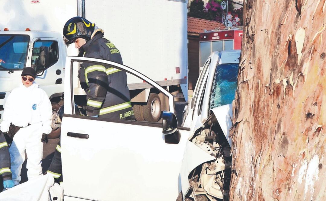 ¡Estrellados en Iztapalapa! Jóvenes pierden la vida tras choque contra un árbol
