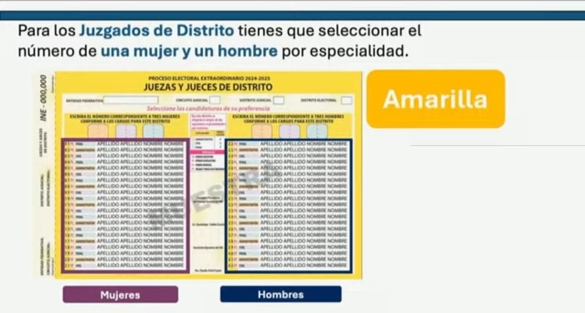 Boleta Amarilla (Foto: Sergio Trejo)