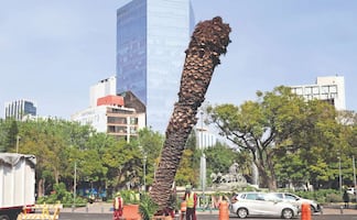 Autoridades de la CDMX tiran palmeras enfermas y muertas ¿Ahora con qué las sustituirán?