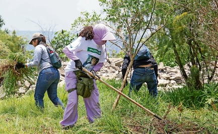 Reactivan la jornada de búsqueda de desaparecidos en zona limítrofe entre Tláhuac y Chalco