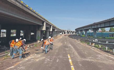 ¿Por dónde pasará el Trolebús Ixtapaluca? La ruta que conectará la CDMX y el Edomex