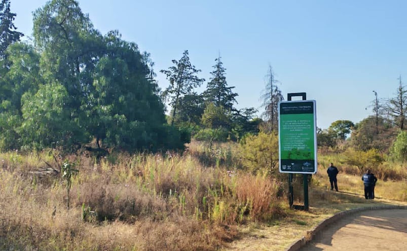 ¡Terrible hallazgo! Encuentran cuerpo colgando de un árbol, en Parque del Cerro de la Estrella